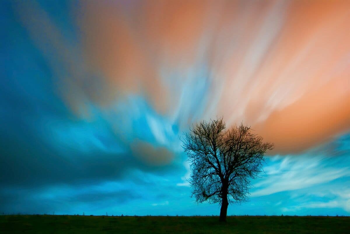 Fototapete PAPERMOON "Baum auf Wiese", bunt, B:3m L:2,23m, Vlies, Tapeten, Fototapete bunt B/L: 3m x 2,23m, Bahnen: 6 Stk.