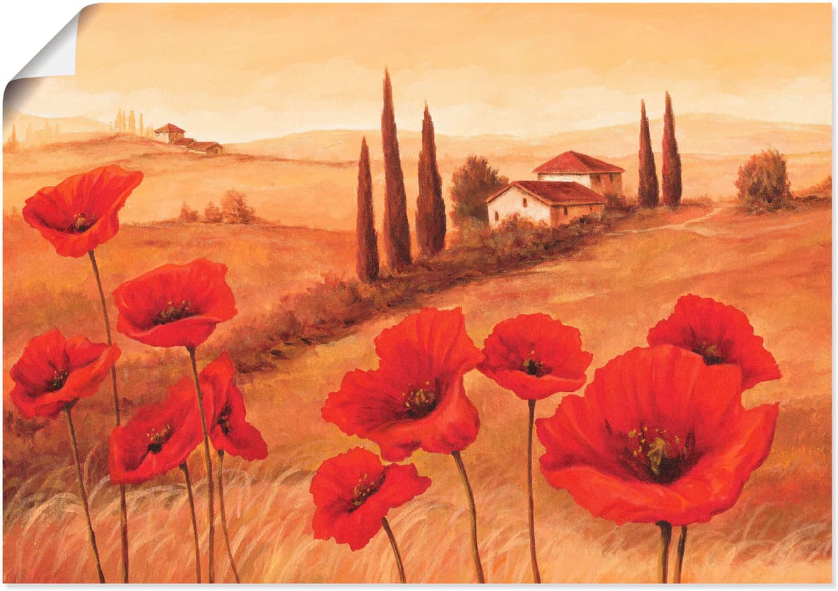 Wandbild ARTLAND "Mohnblumen in der Toskana", braun (farbe bild(er): braun), B:70cm H:50cm, Bilder, Wandbild, als Leinwandbild, Poster in verschied. Grössen farbe bild(er): braun B/H/T: 70cm x 50cm, Poster Europa, 1 Stk.