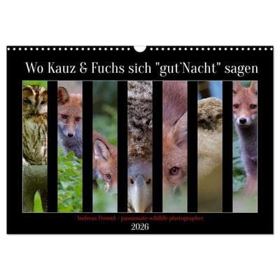Wo Kauz & Fuchs sich 'gut`Nacht' sagen (Wandkalender 2026 DIN A3 quer), CALVENDO Monatskalender