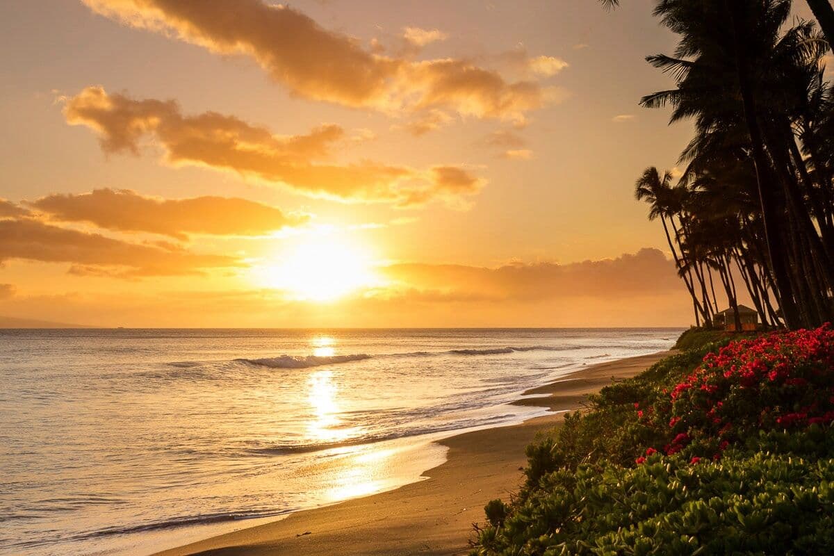 Fototapete PAPERMOON "Kaanapali Beach Hawaii", bunt, B:5m L:2,8m, Vlies, Tapeten, Fototapete bunt B/L: 5m x 2,8m, Bahnen: 10 Stk.