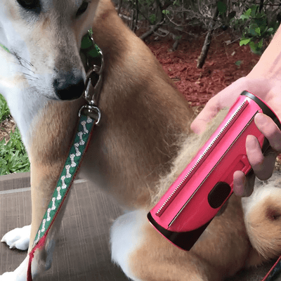 PetsAreLife Pet Hair Remover Comb Pet Hair Remover Comb