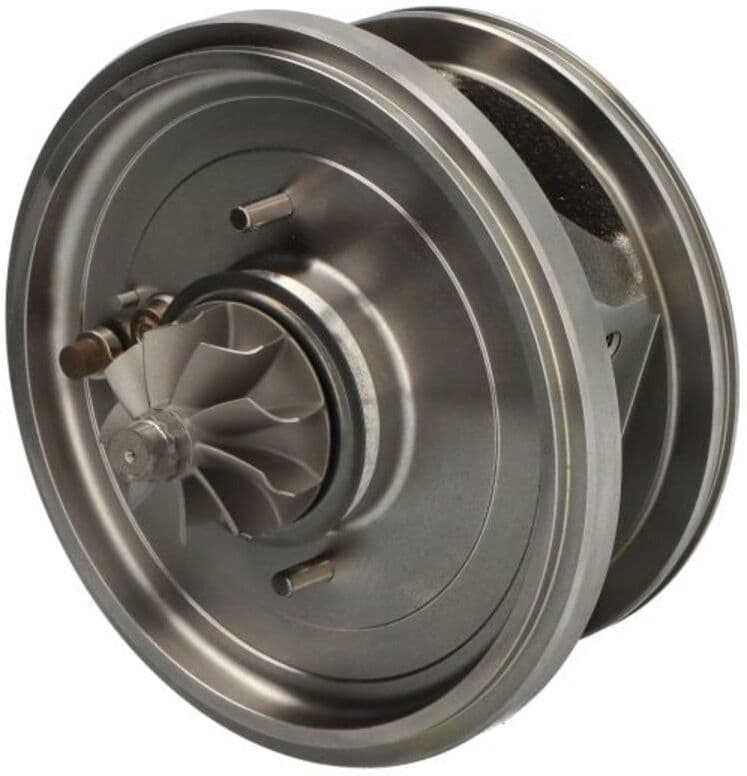 Bmts Cartuccia / CHRA / Core Assy 40009462