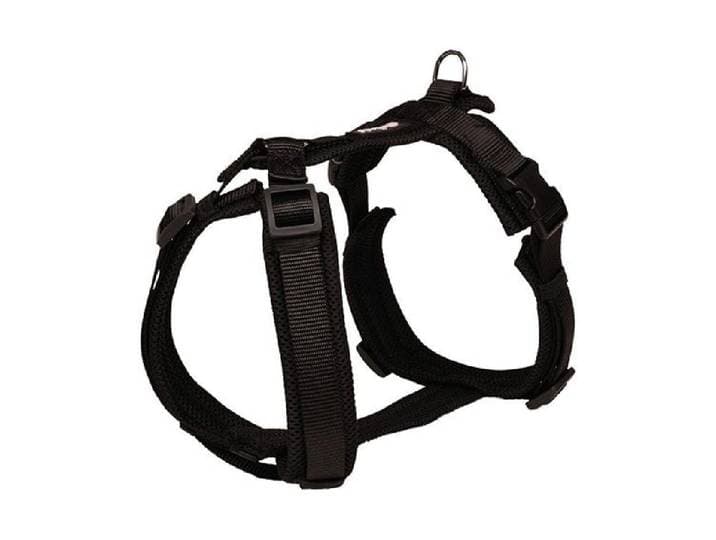 Hunde-Geschirr Mesh Y-Comfort Geschirr schwarzXXL , schwarz, 2XL, Mesh, Tiergeschirre, Hunde-Geschirr
