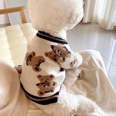 Happy Pet Pantry Winter Chihuahua Clothes: Soft Striped Cardigan For Dogs & Cats XS 2