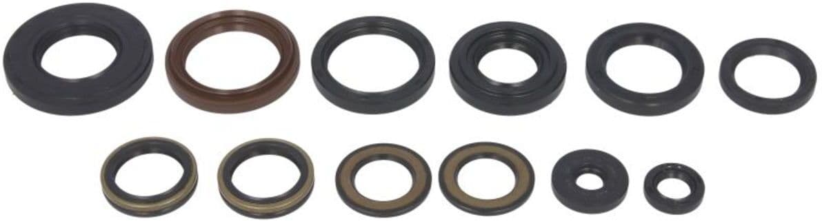 Pochette de joints moteur WINDEROSA W822202
