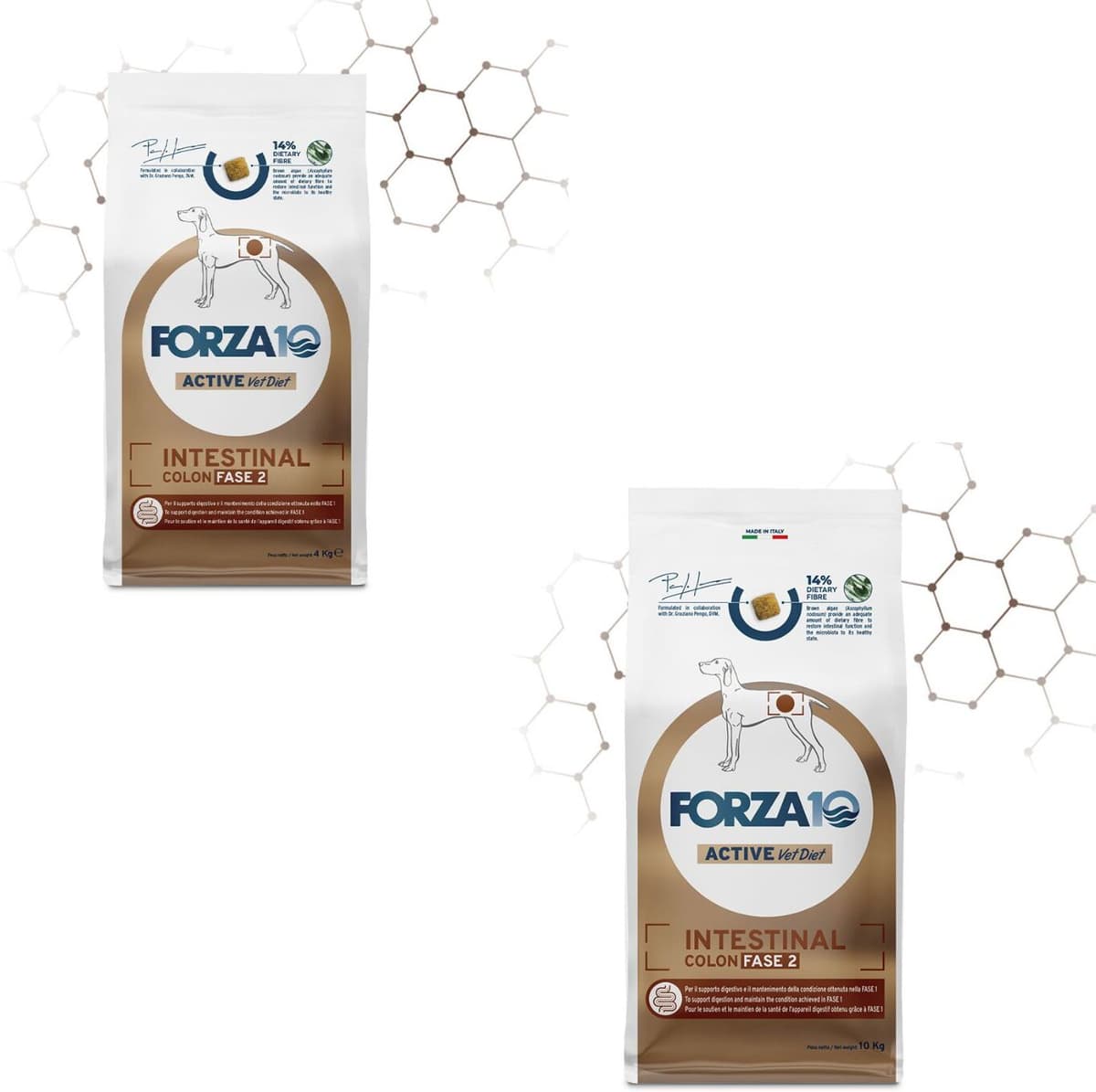 Forza10 Forza 10 Intestinal Colon Fase 2 Active Pesce per Cani Adulti