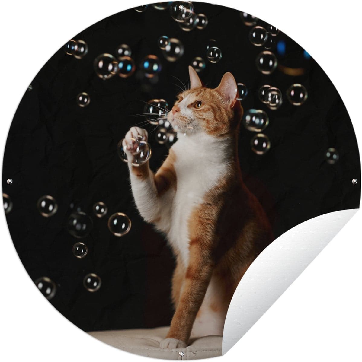 Ronde tuinposter met rode kat en bubbels - 90 x 90 cm
