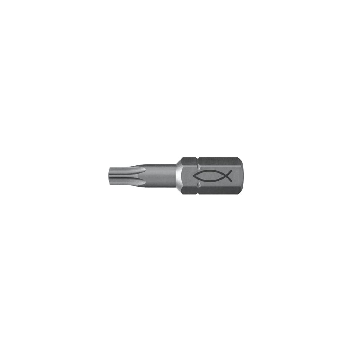 fischer Profi Bit FPB T 25 (557848)