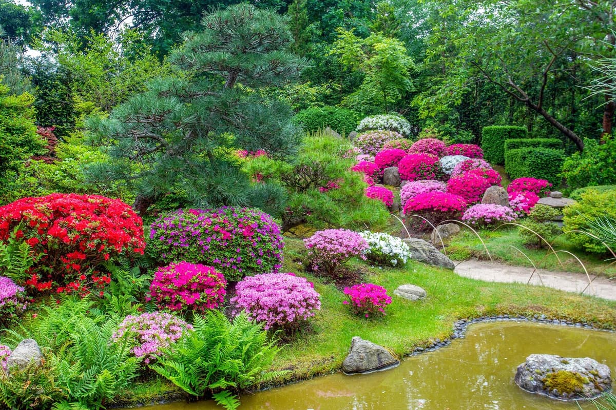 Fototapete PAPERMOON "GARTEN-BLUMEN BÄUME PFLANZEN STEINE WALD PARK BLÜTEN", bunt, B:4,5m L:2,8m, Vlies, Tapeten