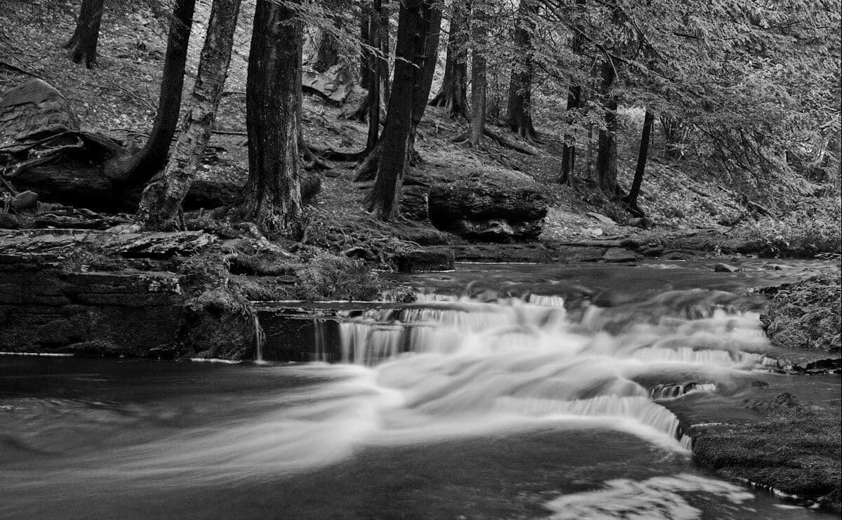Papermoon "Wasserfall Schwarz & Weiß"
