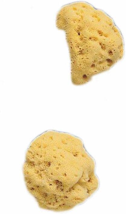 Farmacare srl SPUGNA NAT FORI L 8/9CM 5