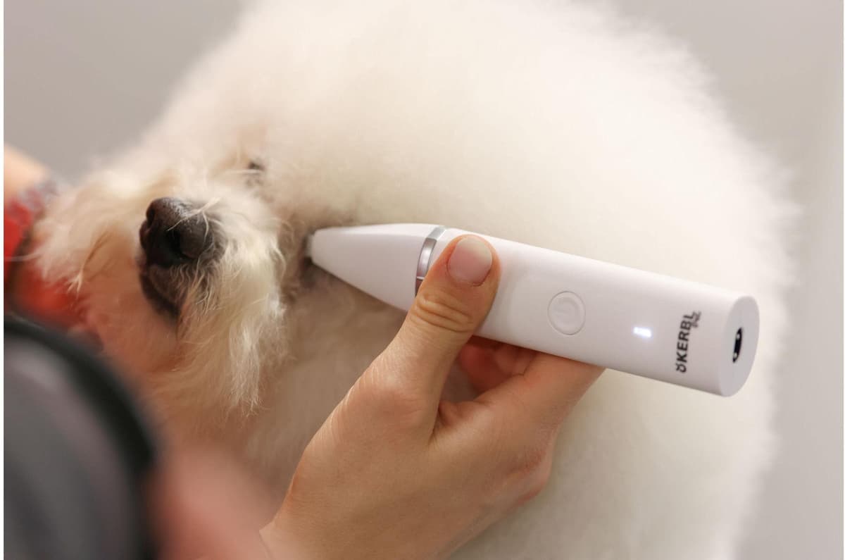 Hundeschermaschine KERBL "4in1", weiss (weiß), Haarschneider, Hundeschermaschine weiß Einheitsgröße