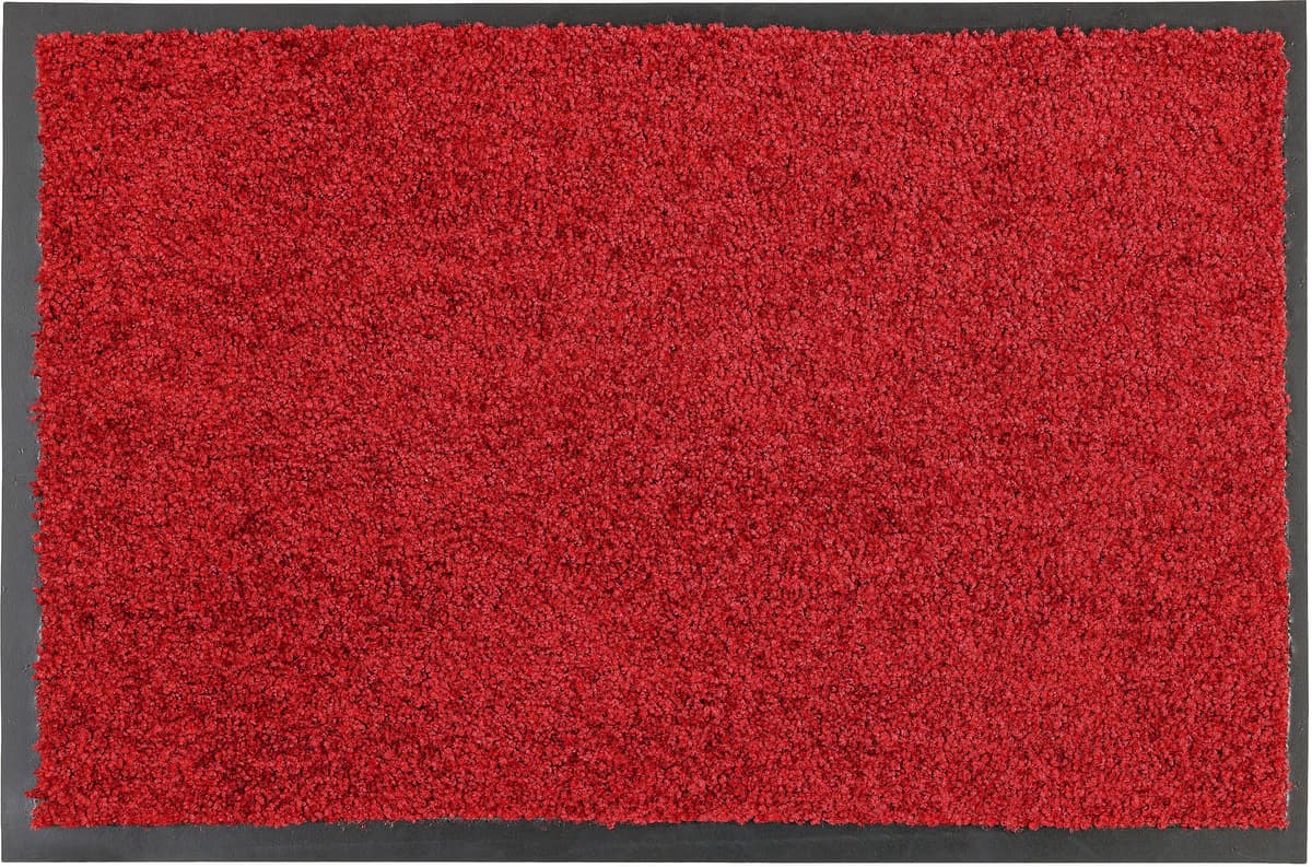 Fussmatte ASTRA "Proper Tex 618" Gr. 16, rot, B:60cm H:9mm L:90cm, Kunstfaser, Teppiche, Fussmatte, Schmutzfangmatte, auch als Läufer, waschbar, In -und Outdoor geeignet rot B : 60cm 1 Stk., 9mm, L: 90cm