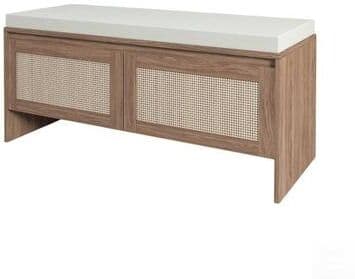 Faux Rattan Shoe Cabinet with 2 Doors