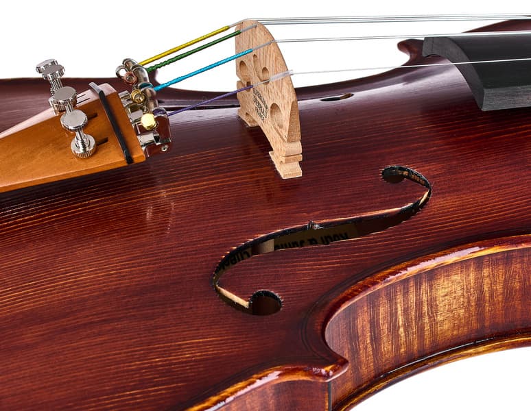 Roth Europe Orchestra Violin Gu/Bw