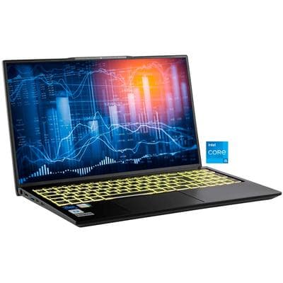 CAPTIVA Business-Notebook "Business/Office I10-1415GE", schwarz (silberfarben), 16 GB RAM 2.000 GB SSD, Core i5, ohne Betriebssystem, Notebooks