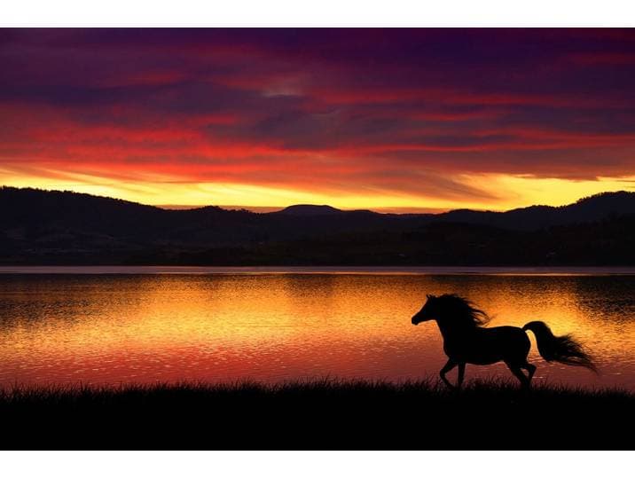 Fototapete PAPERMOON Pferd in landschaft , bunt, B:4m L:2,6m, Vlies, Tapeten, Fototapete