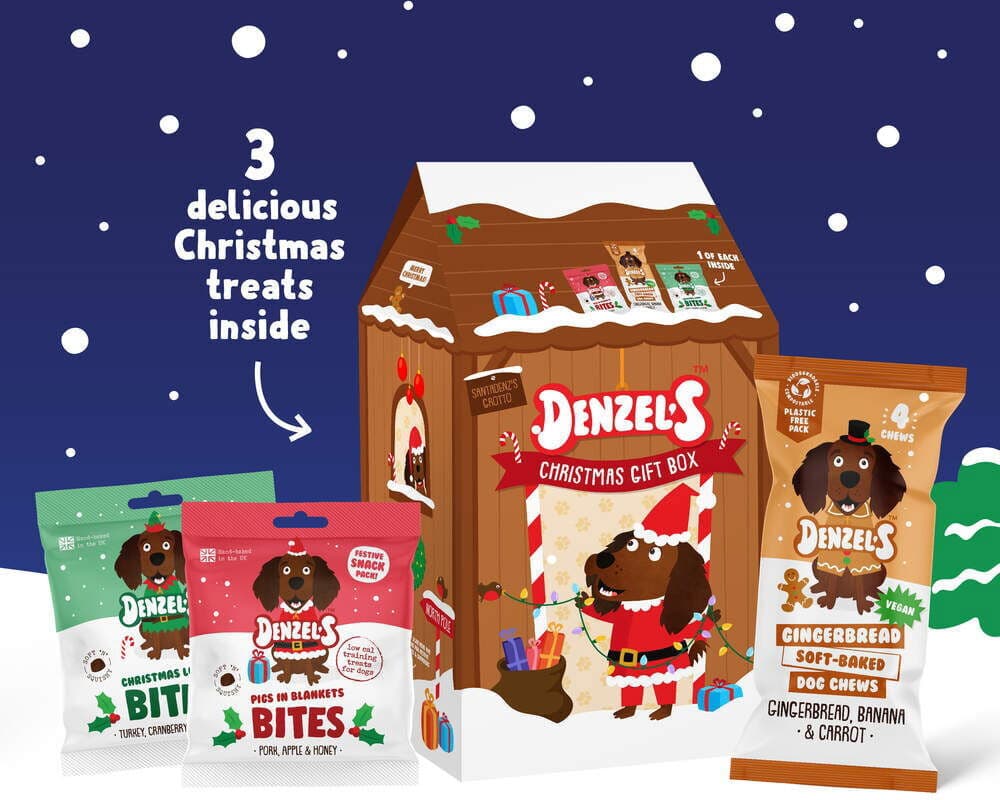 Denzel'S Christmas Grotto Gift Box Julgodis Till Hund 175 G