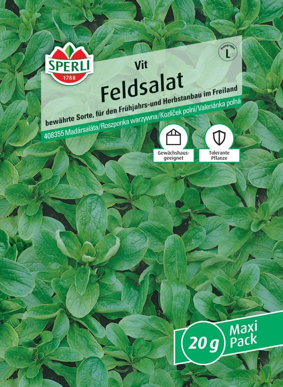 Sperli Feldsalat Vit MaxiPack 20g