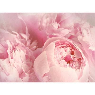 Fototapete PAPERMOON "Peony Flowers", bunt, B:2,5m L:1,86m, Vlies, Tapeten