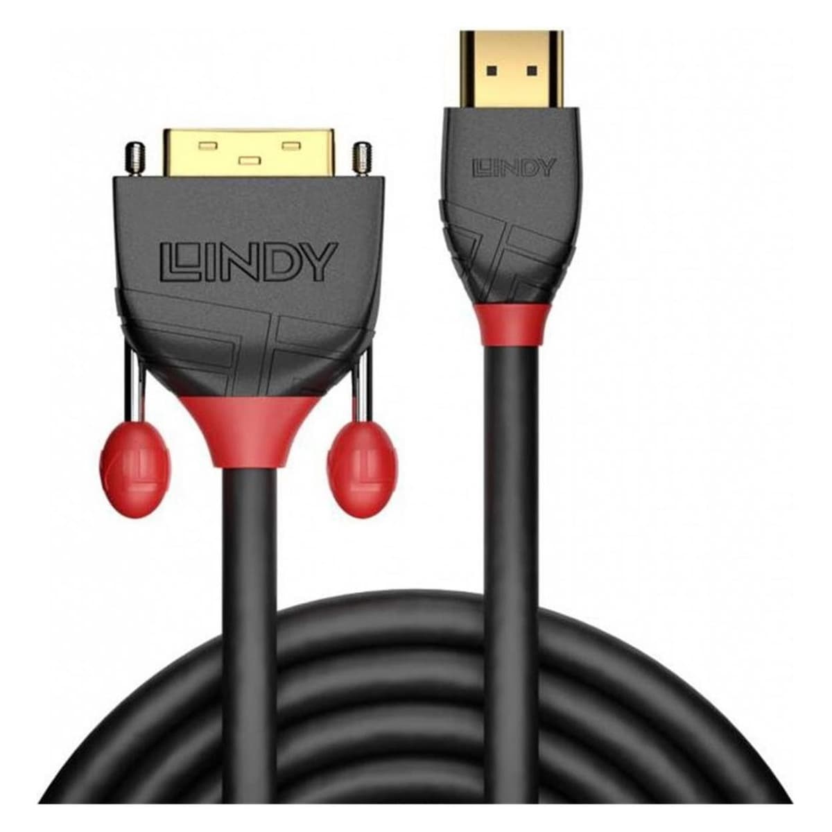 Lindy HDMI (Typ A) - DVI (0.50 m) (36270)