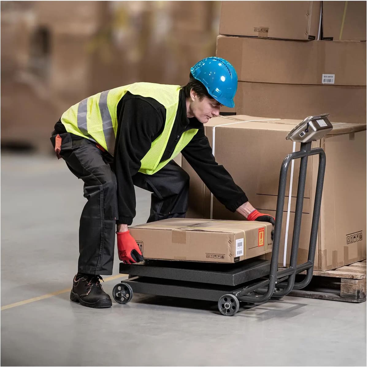 Steinberg Systems Tasovaaka - 600 kg / 0,1 kg - 60 x 50 cm - rullattava - LED SBS-PF-600/100W