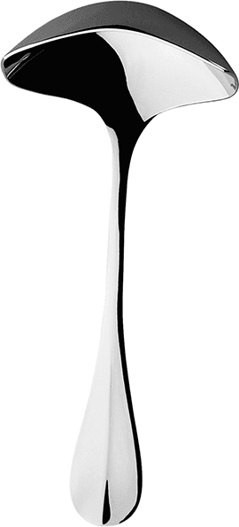 Degrenne Mestolo per salsa 15,7 cm Blois