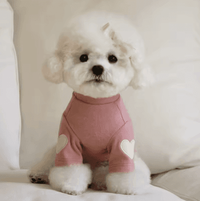 Inspire Picks Love Bear Dog Hoodie Warm Winter Pet Shirt For Teddy, Yorkshire & Small Pets pink l
