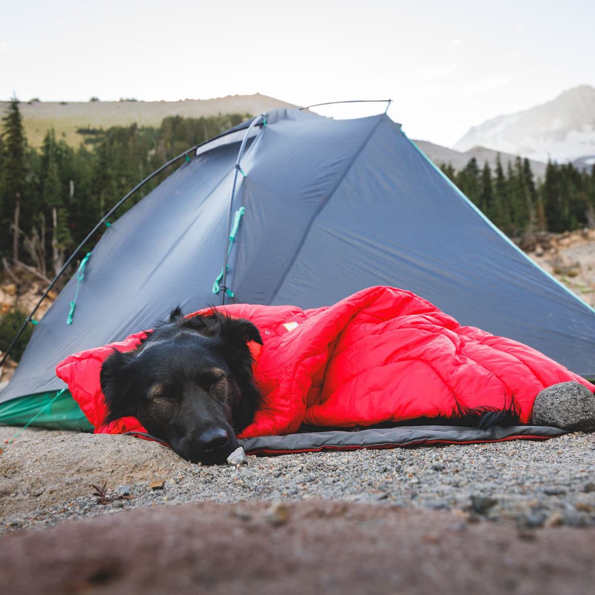 RuffWear Palisades Bærbar Sovepose Til Hund Rød