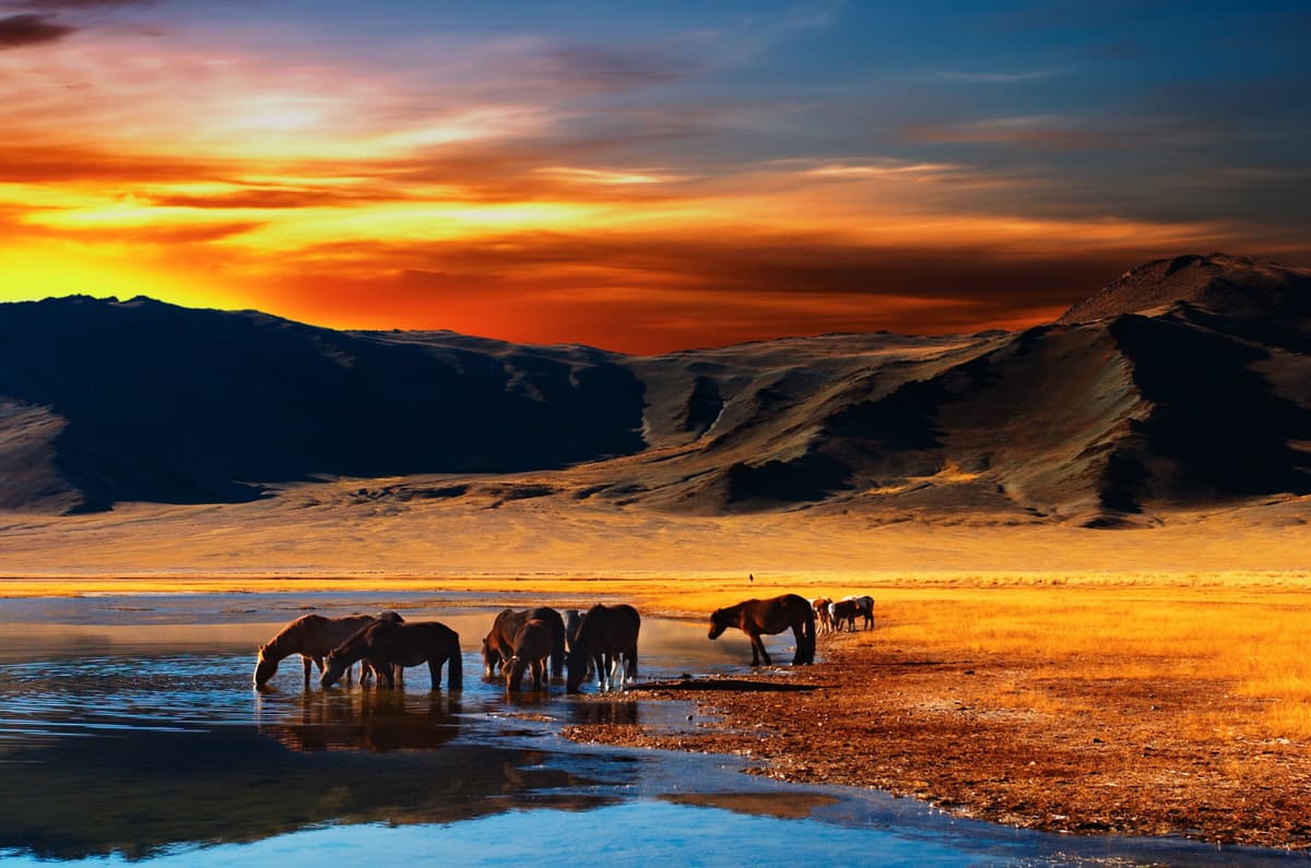 Fototapete PAPERMOON "Mongolian Horses", bunt, B:1,5m L:1,11m, Vlies, Tapeten, Fototapete bunt B/L: 1,5m x 1,11m, Bahnen: 7 Stk.