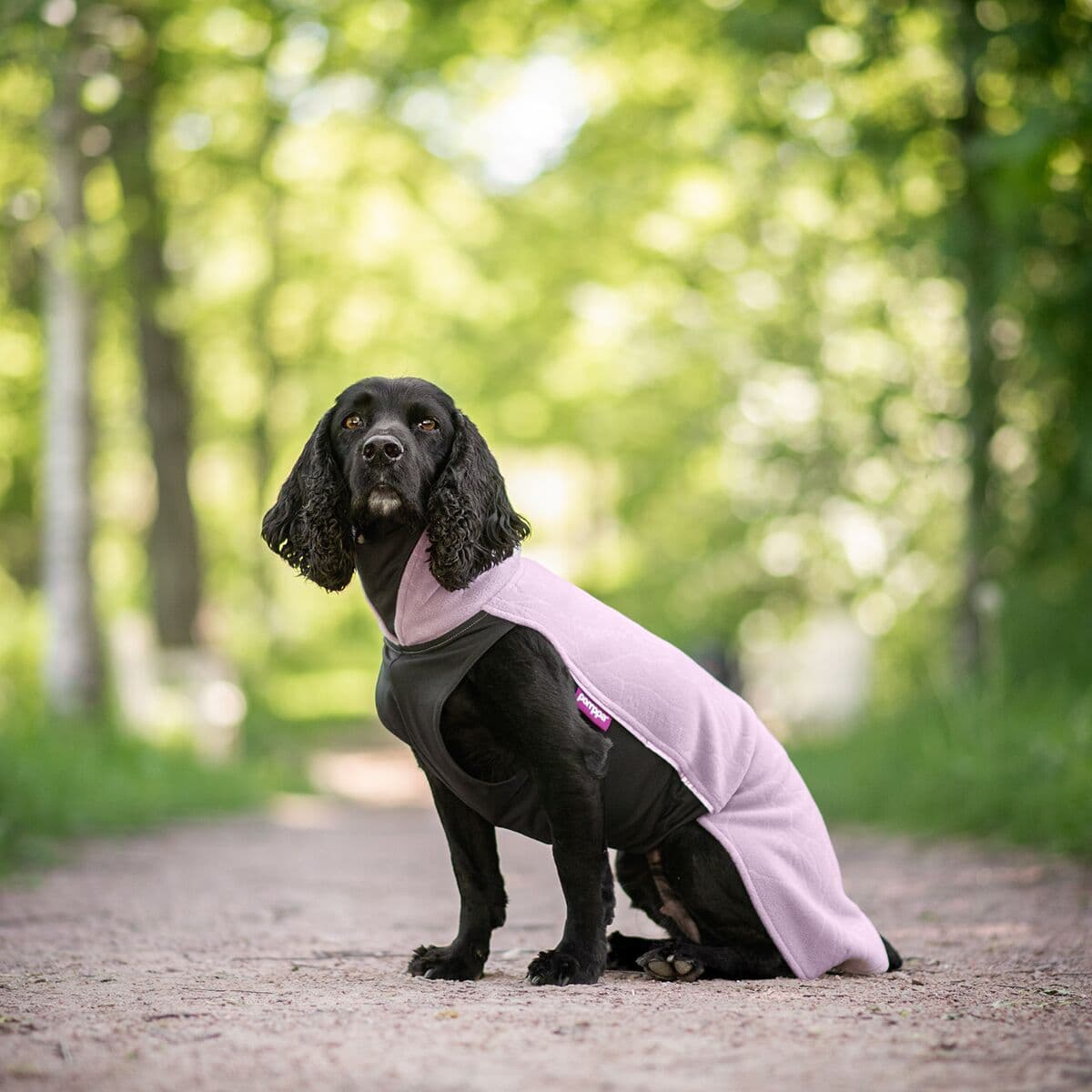 Pomppa Jumppa Fleecetäcke Till Hund Elderberry 56