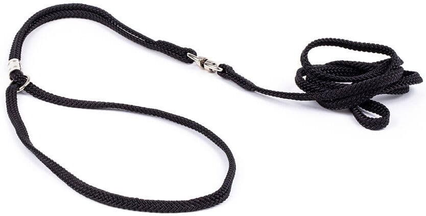 Show Dog Show Lead Round