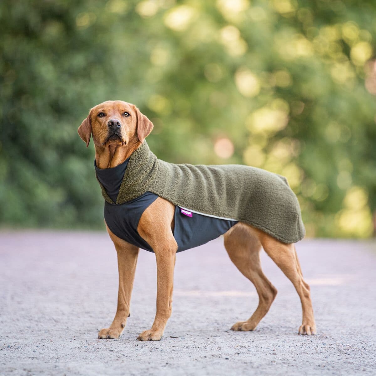 Pomppa Polar Fleecetäcke Till Hund Olive 37