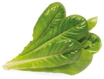 Click and Grow - Smart Garden Refill 3-pack - Romaine Lettuce (SGR50X3)