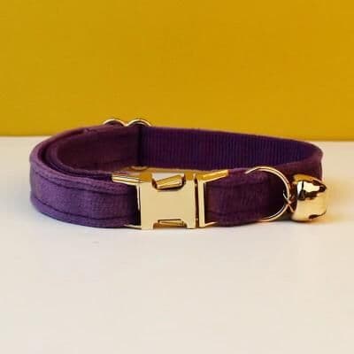 Uplifted Finds Adjustable Bowknot Safety Collar With Custom ID cat Collar 16 s