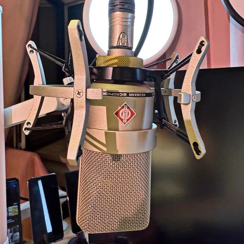 NONE Neumann TLM 102 Large Diaphragm Condenser Microphone Professional Studio Recording Mic for Vocal Podcast Live Broadcast TLM 103