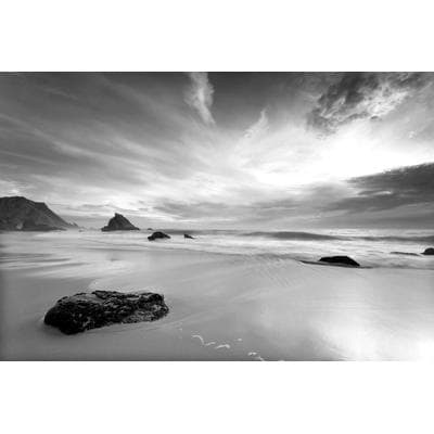 Fototapete PAPERMOON "Strand Schwarz & Weiß", schwarz (schwarz, weiß), B:2,5m L:1,86m, Vlies, Tapeten