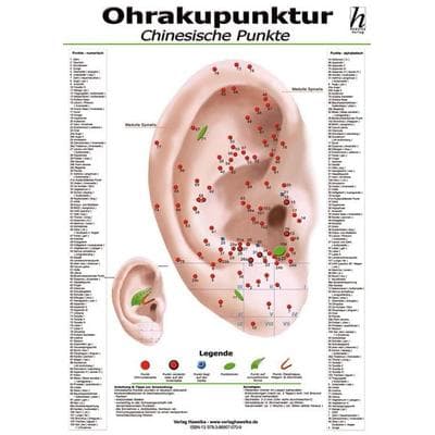 Ohrakupunktur Mini-Poster - chinesische Punkte DIN A4, Poster von , Hawelka, Uwe, 978-3-86957-075-4