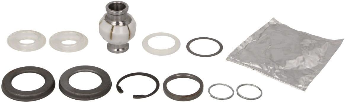 Reinhoch Kit di riparazione, puntone di guida RH54-2003