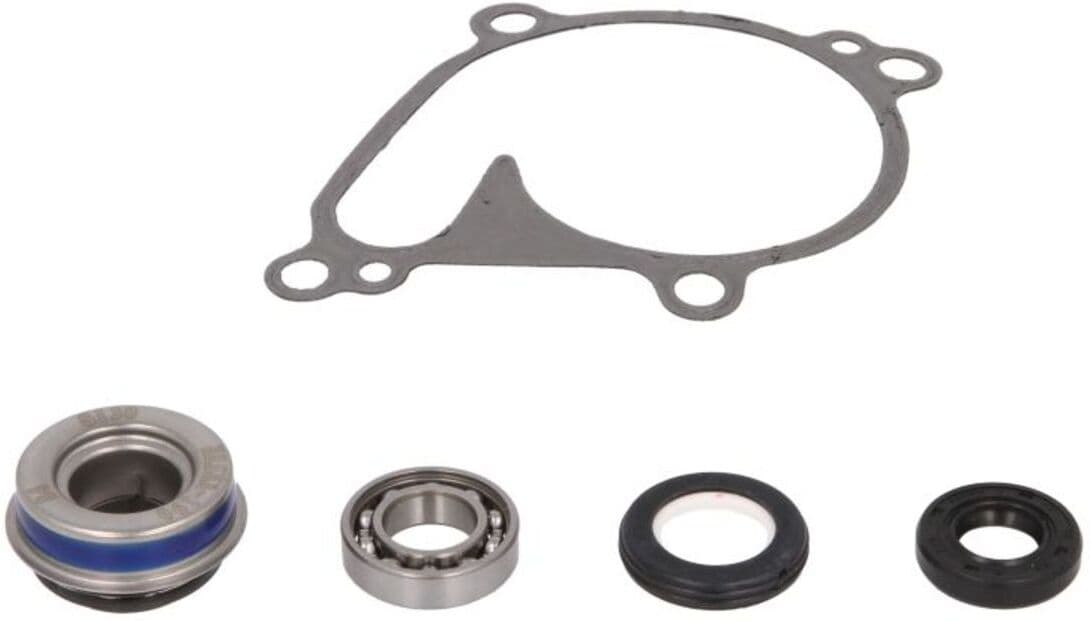 Kit de reparação, bomba de água HOT RODS WPK0061