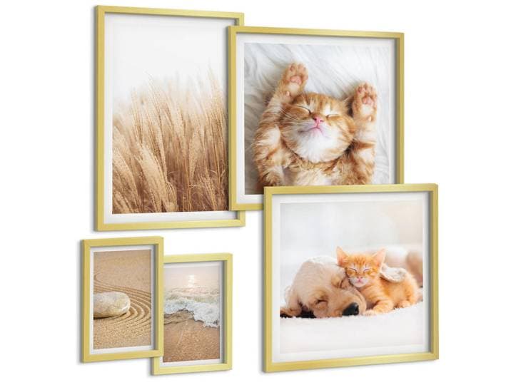 Tulup Bilder SET 5er Set - 50x50 cm & 20x30 cm & 40x60 cm Goldrahmen - Niedliche Tiere, Katzen, Hunde, Strand, Goldfarben, Kunststoff, Rechteckig, 40x60 cm, gerahmt, Bilder & Rahmen, Bilder