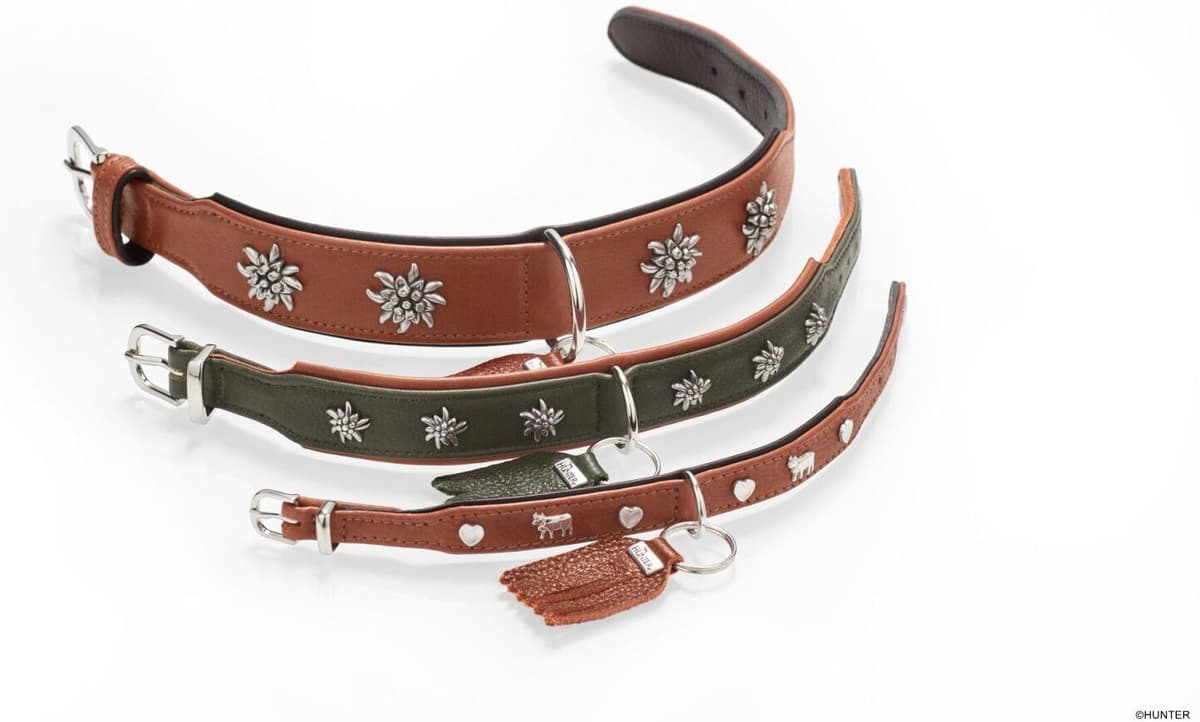 DOG SPORT HUNTER Halsband München XS-S (37), grün/cognac