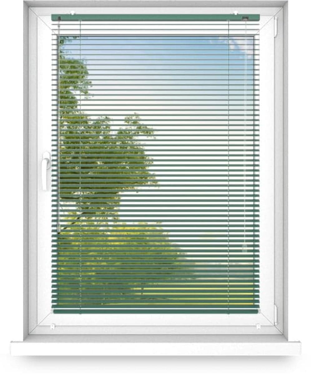 Time4blinds Binnenjaloezieën Zonder Boren - Aluminium - Smaragdgroen - Rechts - B: 100 cm, H: 80 cm