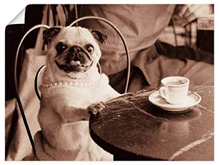 ARTLAND Wanddeko Poster & Kunstdrucke Wandposter 60x45 cm Hund Mops Tiere Kaffee Cafe Lustig Modern Sepia L0IS