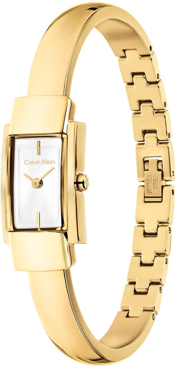 Calvin Klein Moderne 25100184