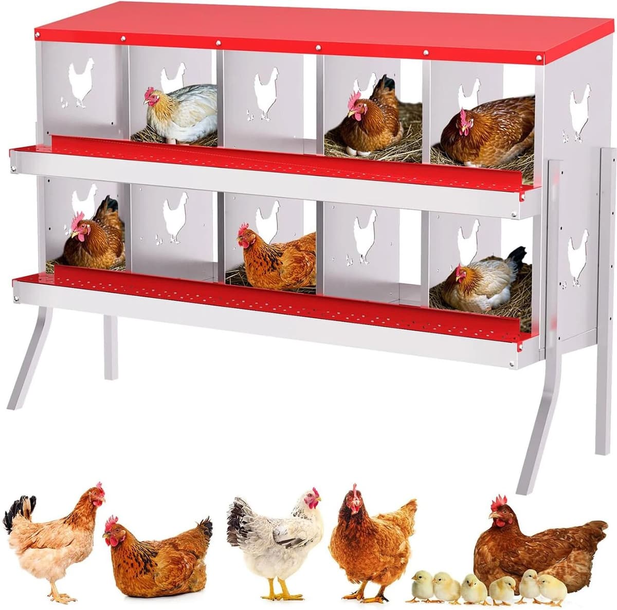HiMISS Chicken Nesting Box 10 Compartment Metal Nesting Box 10 Room Wall Mountable Nesting Boxes with Leg Galvanized Steel for Chicken