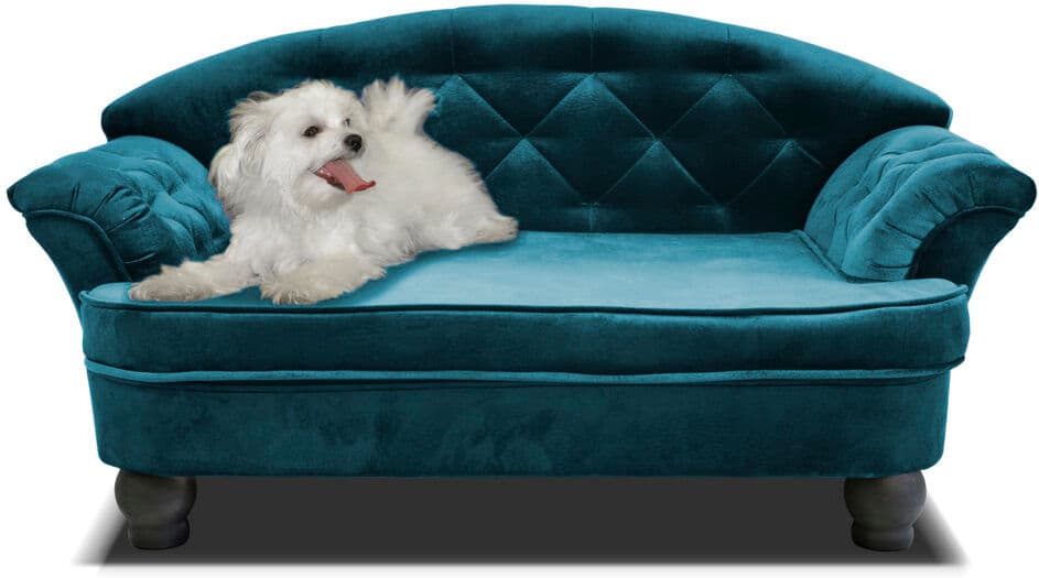 Archie & Oscar Debose Orthopedic Memory Foam Pet Bed Turquoise Extra Extra Large (91 lbs and up);XXL (40kg and more)