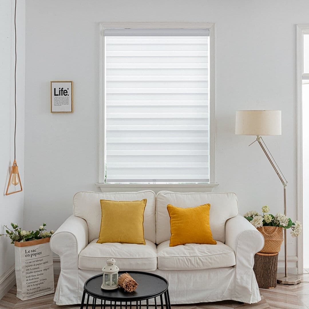 Symple Stuff Zebra Day and Night Roller Blinds, Dual Layer Window Shades with Adjustable Light Control and Privacy for Living Room, Bedroom and Office White 49cm W x 165cm L