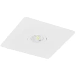 Fischer LED-Sicherheitsleuchte BQE315M