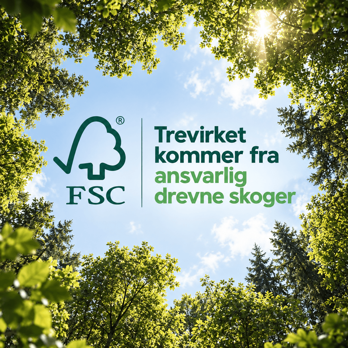Trasman Drømmerom - Køyeseng Easy For 3 - 90x200 - Natur